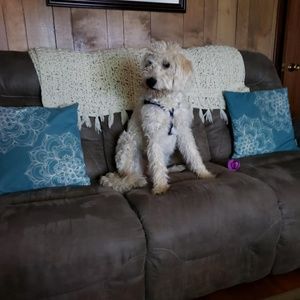 Meet your Posher, Kevin